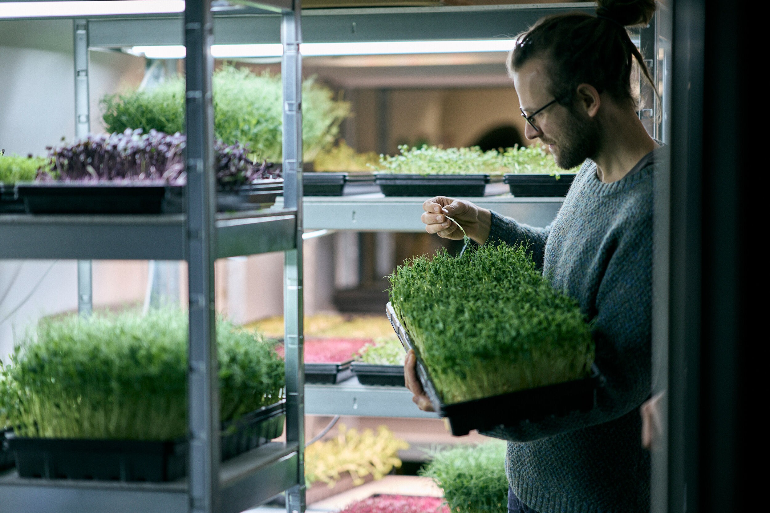 Triebwerk in Passau - Lieferant für Kräuter und essbare Blumen